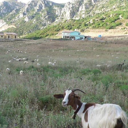 Agriturismo Sa Rocca 이글레시아스 외부 사진